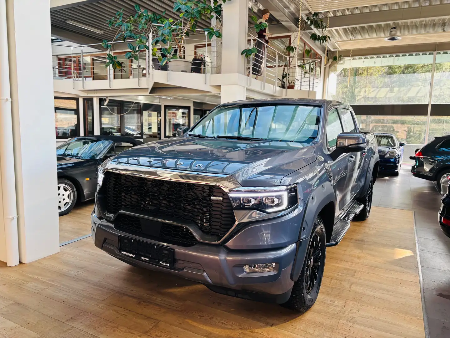 Foton Ostali Tuland V9 siva - 2