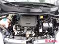 Fiat Panda Base 1.0 Mild Hybrid EU6d DAB Klimaanlage Gris - thumbnail 18