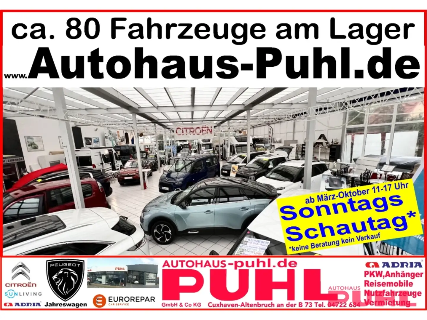 Fiat Panda Base 1.0 Mild Hybrid EU6d DAB Klimaanlage Gris - 2