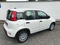 Fiat Panda 1.0 GSE Pandina Hybrid 2024 Sitzheizung Blanco - thumbnail 7