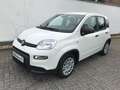 Fiat Panda 1.0 GSE Pandina Hybrid 2024 Sitzheizung Blanco - thumbnail 2