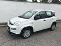 Fiat Panda 1.0 GSE Pandina Hybrid 2024 Sitzheizung Blanco - thumbnail 1