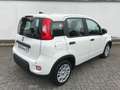 Fiat Panda 1.0 GSE Pandina Hybrid 2024 Sitzheizung Blanco - thumbnail 6