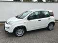 Fiat Panda 1.0 GSE Pandina Hybrid 2024 Sitzheizung Blanco - thumbnail 3