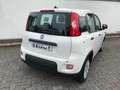 Fiat Panda 1.0 GSE Pandina Hybrid 2024 Sitzheizung Blanco - thumbnail 5