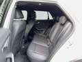 Audi Q2 35 TDI S line S-tronic Matrix-LED Standheizung Silber - thumbnail 13