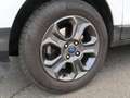 Ford EcoSport Cool&Connect, Automatik, AHK, Kamera, Alu Weiß - thumbnail 6