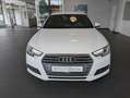 Audi A4 TFSi Avant Sport*Xenon*APS*Sitzh.*Navi*DSP Blanc - thumbnail 4