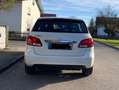 Mercedes-Benz B Electric Drive B (Electric Drive) 250 e Style Blanco - thumbnail 5