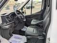 Ford Transit FT 350 L3 Van MHEV Trail 130 Blanc - thumbnail 10