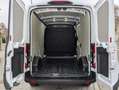 Ford Transit FT 350 L3 Van MHEV Trail 130 Blanc - thumbnail 7