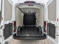 Ford Transit FT 350 L3 Van MHEV Trail 130 Blanc - thumbnail 6