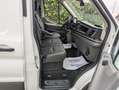 Ford Transit FT 350 L3 Van MHEV Trail 130 Blanc - thumbnail 5