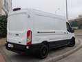 Ford Transit FT 350 L3 Van MHEV Trail 130 Blanc - thumbnail 3