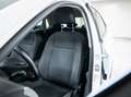 Volkswagen Polo 1.0 TGI 5p. Comfortline BlueMotion Technology Bianco - thumbnail 11