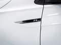 Volkswagen Polo 1.0 TGI 5p. Comfortline BlueMotion Technology Bianco - thumbnail 7
