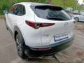 Mazda CX-30 2.0 Skyactiv-X M Hybrid 180cv Exclusive AWD Blanc - thumbnail 6