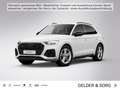 Audi Q5 55 TFSIe qu. S line *LED*Navi*EPH*ACC*RFK*Bus Weiß - thumbnail 1