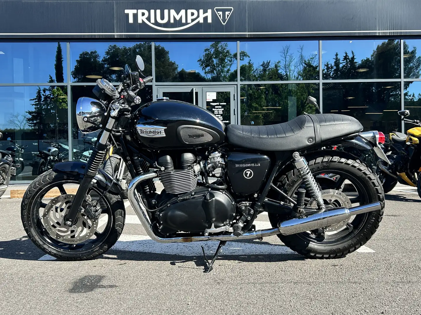 Triumph - 2