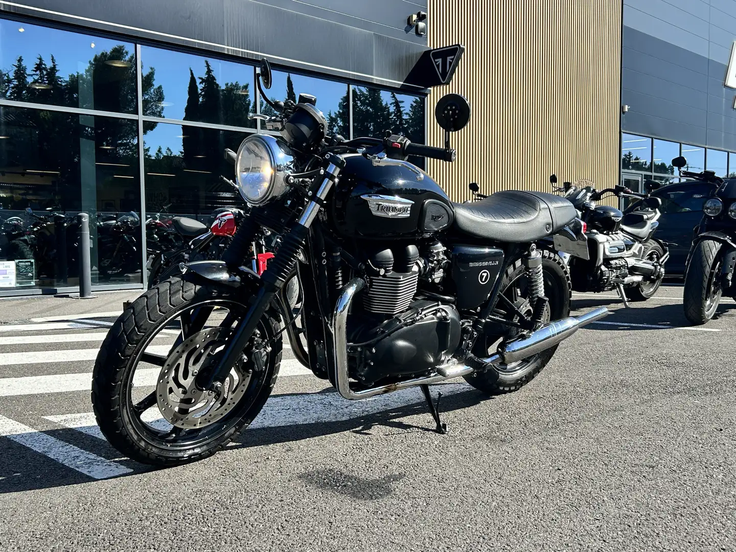 Triumph - 1