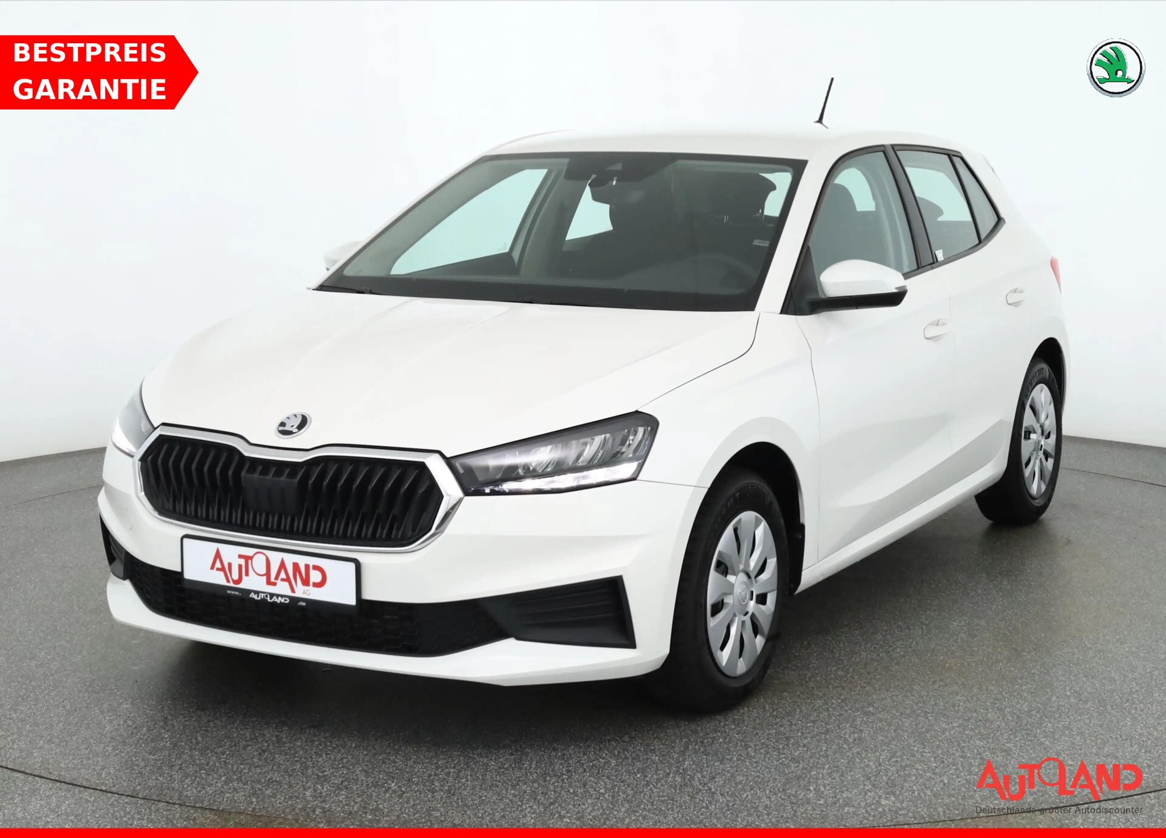 Skoda Fabia 1.0 MPI Active LED DAB Sitzheizung USB