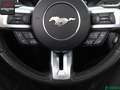 Ford Mustang Mustang 5.0 Ti-VCT V8 CONVERTIBLE GT 1.HAND,SH Schwarz - thumbnail 15