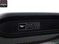 Ford Mustang Mustang 5.0 Ti-VCT V8 CONVERTIBLE GT 1.HAND,SH Schwarz - thumbnail 24