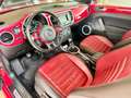 Volkswagen Maggiolino 1.6 TDI 60's TettoApribile - Impianto Fender Rosso - thumbnail 8