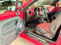 Volkswagen Maggiolino 1.6 TDI 60's TettoApribile - Impianto Fender Rosso - thumbnail 6