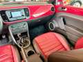 Volkswagen Maggiolino 1.6 TDI 60's TettoApribile - Impianto Fender Rosso - thumbnail 14