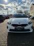 Kia Ceed SW / cee'd SW ceed SW 1,6 CRDi ISG Silber DCT Weiß - thumbnail 1