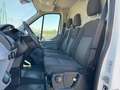 Ford Transit 350 2.0 Tdci EcoBlue 170 CV H3 FRIGO Blanc - thumbnail 5