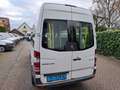 Mercedes-Benz Sprinter 314 2.2 CDI 18995.- INCL BTW 9-PERSOONS ROLSTOEL L Wit - thumbnail 5