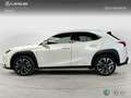 Lexus UX 200 SUV PREMIUM 2.0 Híbrido Gasolina Transmisión Aut Weiß - thumbnail 3