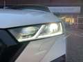 Skoda Octavia Combi 2.0 TDI RS DSG LED Kamera Lenkradh Weiß - thumbnail 14