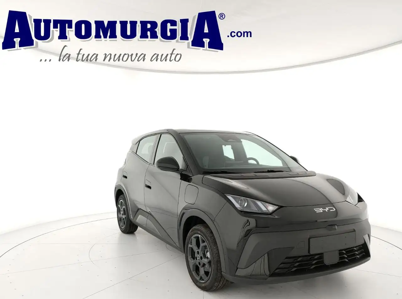 BYD Dolphin Surf