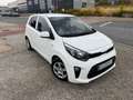 Kia Picanto Picanto 1.0 DPi Concept Concept Blanco - thumbnail 1