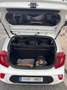 Kia Picanto Picanto 1.0 DPi Concept Concept Blanco - thumbnail 6
