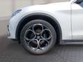 Alfa Romeo Stelvio Allrad Super 2,0 ATX AWD Weiß - thumbnail 9
