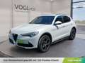 Alfa Romeo Stelvio Allrad Super 2,0 ATX AWD Weiß - thumbnail 1