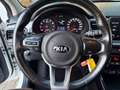 Kia Rio Dream Team 1.2 Weiß - thumbnail 14