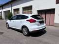 Ford Focus Focus Trend 1,0 EcoBoost Weiß - thumbnail 6