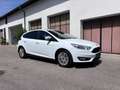 Ford Focus Focus Trend 1,0 EcoBoost Weiß - thumbnail 14