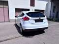Ford Focus Focus Trend 1,0 EcoBoost Weiß - thumbnail 4