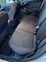 Ford Focus Focus Trend 1,0 EcoBoost Weiß - thumbnail 19