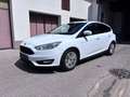 Ford Focus Focus Trend 1,0 EcoBoost Weiß - thumbnail 1