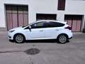 Ford Focus Focus Trend 1,0 EcoBoost Weiß - thumbnail 3