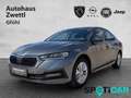 Skoda Octavia 2,0 TDI Ambition Grau - thumbnail 1