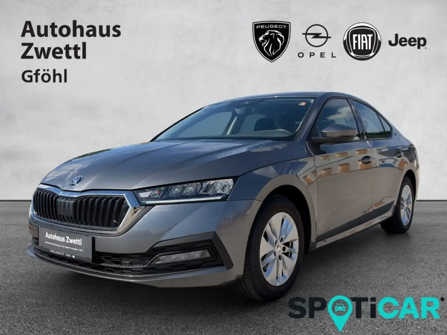 Skoda Octavia 2,0 TDI Ambition Grau - 1