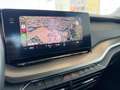 Skoda Octavia 2,0 TDI Ambition Grau - thumbnail 20